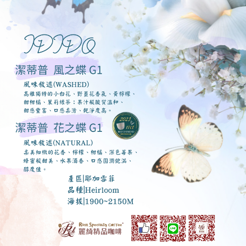 耶加雪菲 風之蝶 艾迪朵水洗G1