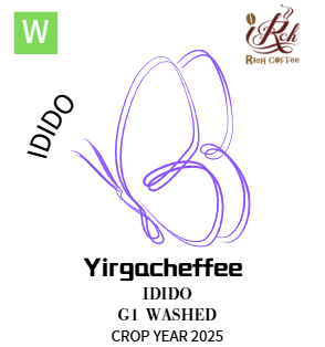 耶加雪菲 風之蝶 艾迪朵水洗G1