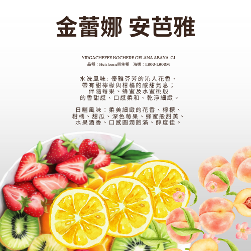 耶加雪菲 風之語 金蕾娜  水洗G1 