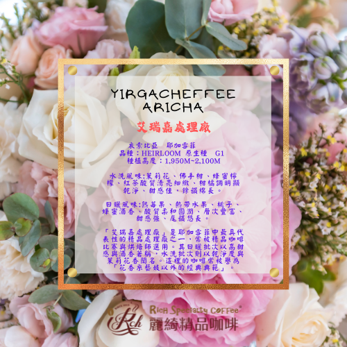 耶加雪菲 風之戀  艾瑞嘉 水洗G1