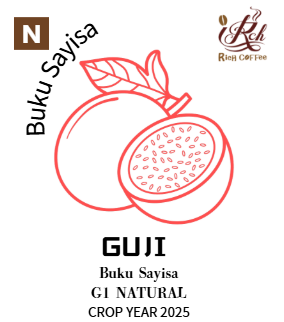 布穀 夏依莎 日曬 G1