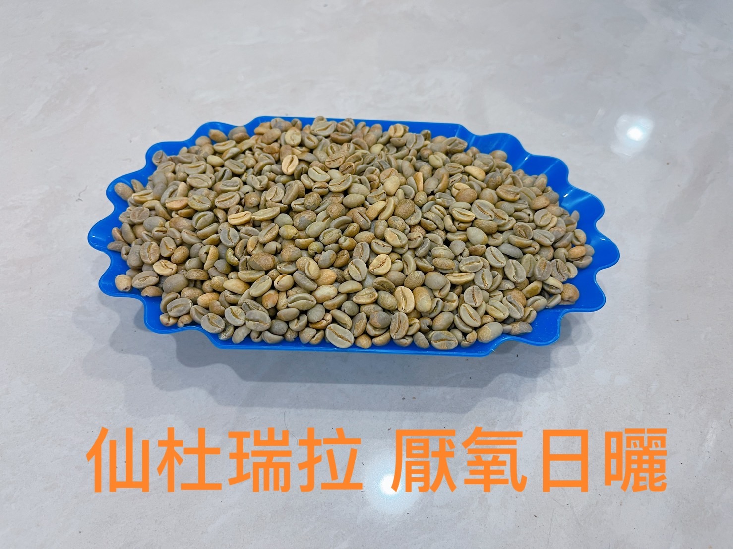 哥大厭氧日曬