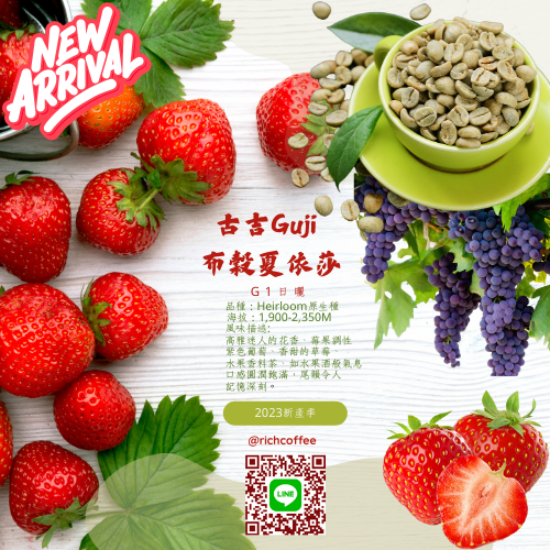 布穀 夏依莎 日曬 G1